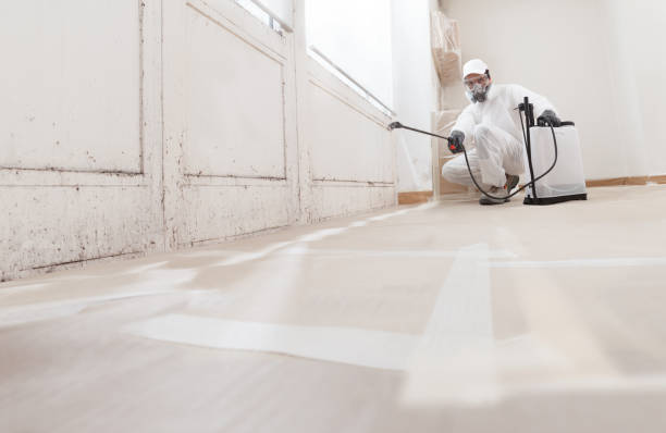 24/7 Emergency Attic Mold Remediation experts in Colleyville, TX
